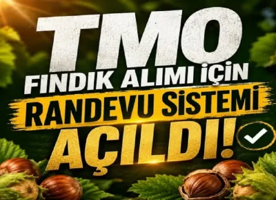 TMO fındık alımı için randevuları açtı